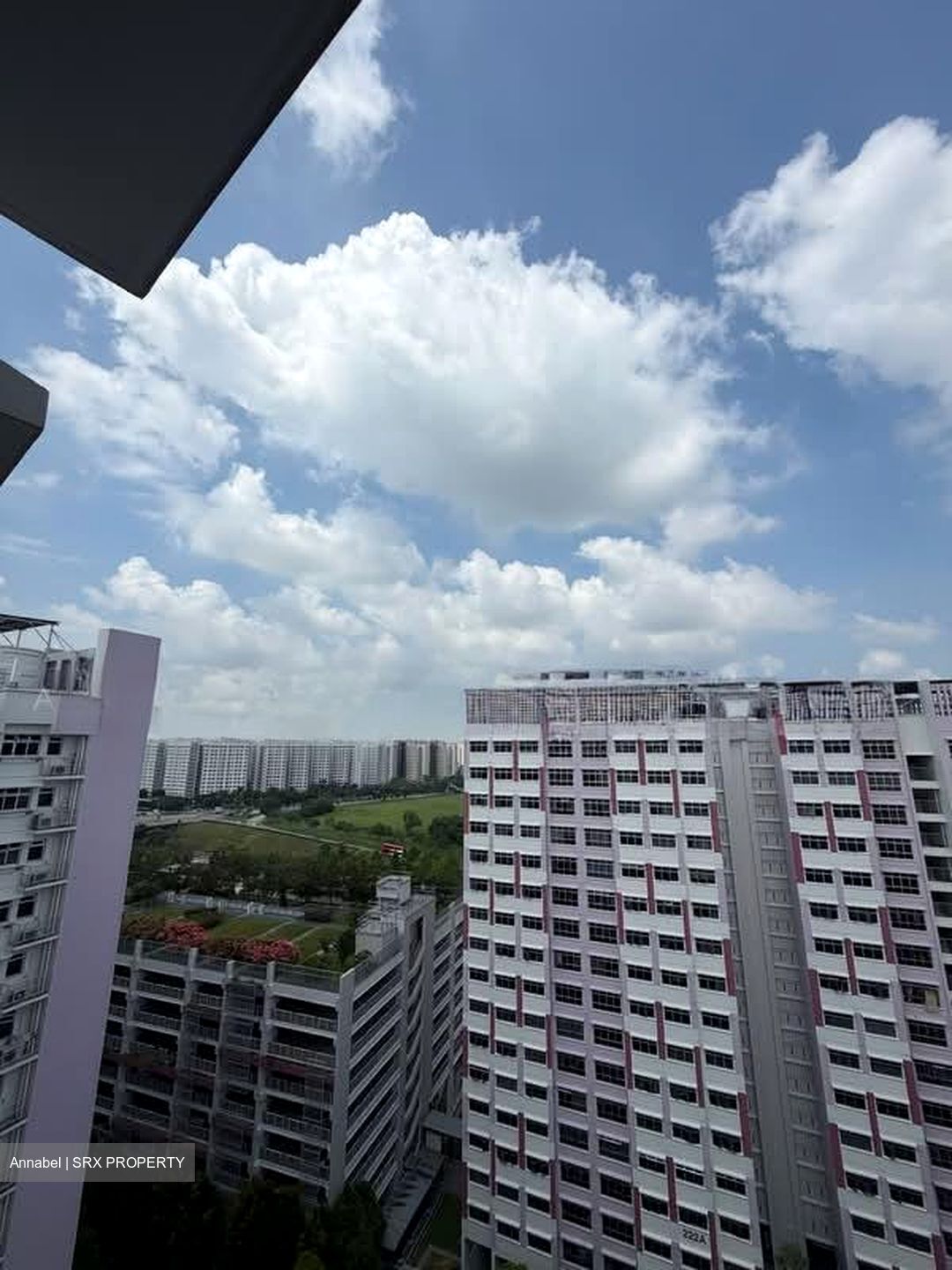 Blk 224A Matilda Edge (Punggol), HDB 4 Rooms #597321591